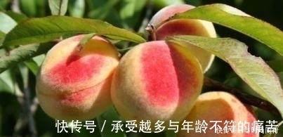 肠胃不好|肠胃不好的人,这3个食物要少吃,不仅难消化,还损伤胃粘膜!