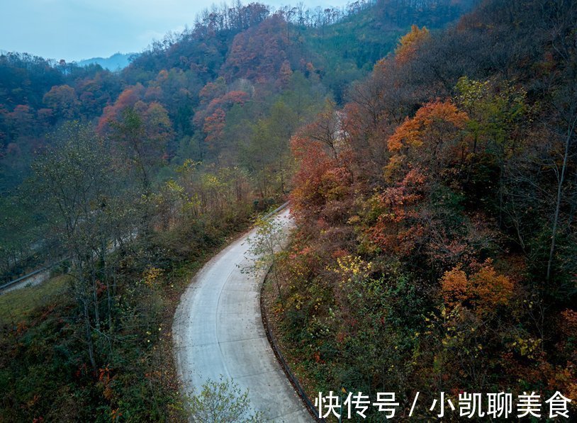 彩林|平武有座山红透了！山上这条云端上的彩林公路秋色如画