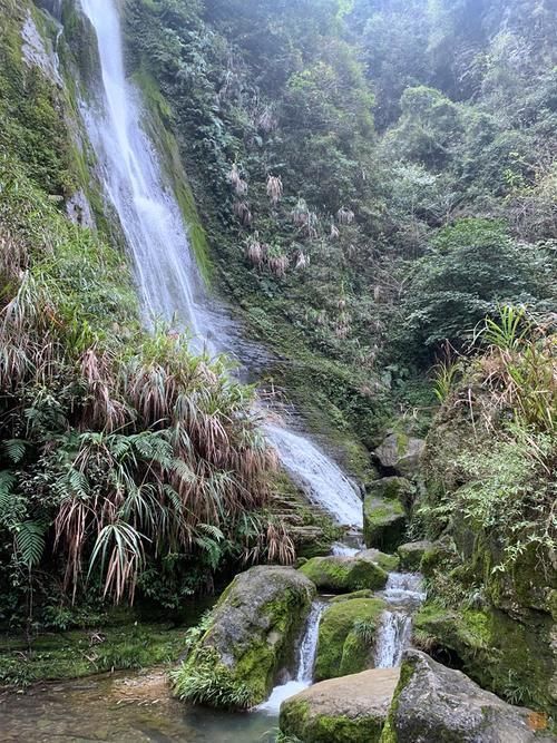 峡谷|这个景区号称世界奇观，不仅有奇绝的山路和峡谷，更有世界最美大桥