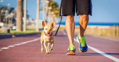 55岁后，可做4个动作看自己是否有长寿“潜质”