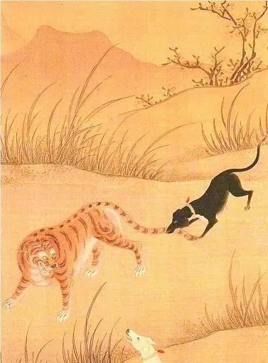 动物|一百年来,中国灭绝了多少动物?