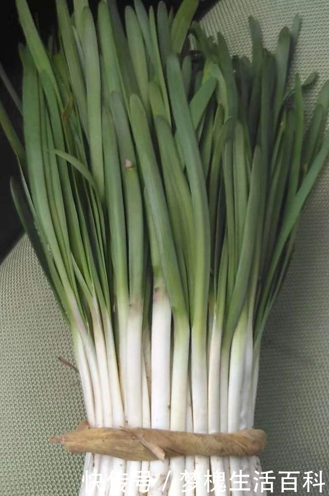 李白无意中命名了一种植物,后来它成为当地宴席名菜,你吃过吗