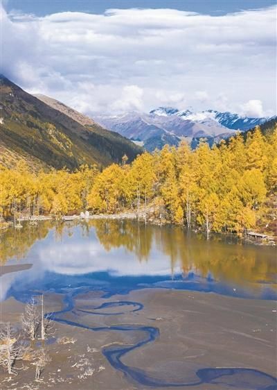  缤纷|追秋去 彩叶缤纷如打翻调色板