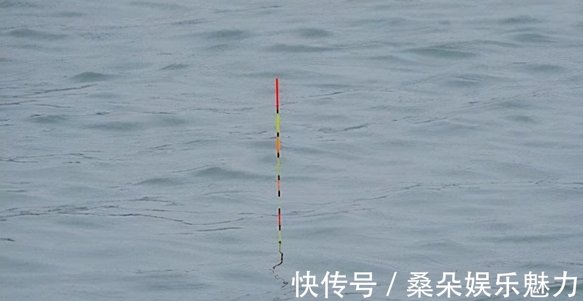 鱼口|深秋钓鲤,灵活使用这两个调漂思路,擒获大鲤,易如反掌