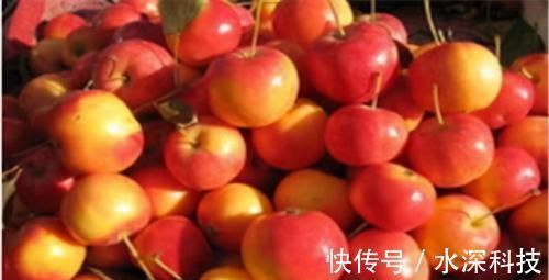 紫甘蓝|女性担心老太快，可以多吃3种食物，补充营养，身体棒棒哒！