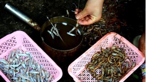 瘦肉汤|招待朋友别去饭店了,教你做五菜一汤,成本不到100元,比饭店实惠