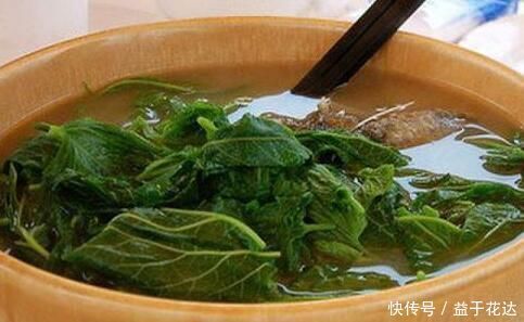 桑葉泡水飲用, 3個好處手到擒來, 不知道的朋友可惜了!