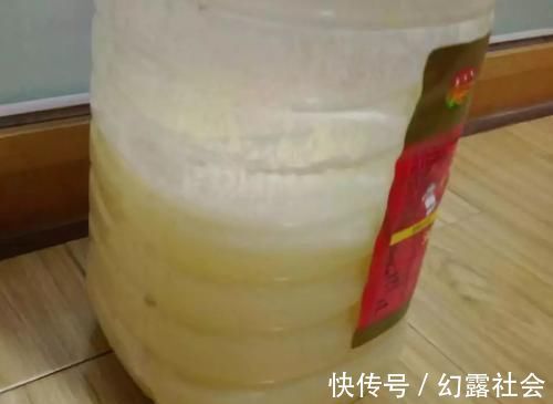 王大叔|王大爷养君子兰经验真足!花肥就用此2种,根壮花旺长势好!
