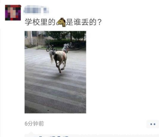 |幽默段子：向老板请假回家，理由是出门大半年了，我想回家看孩子