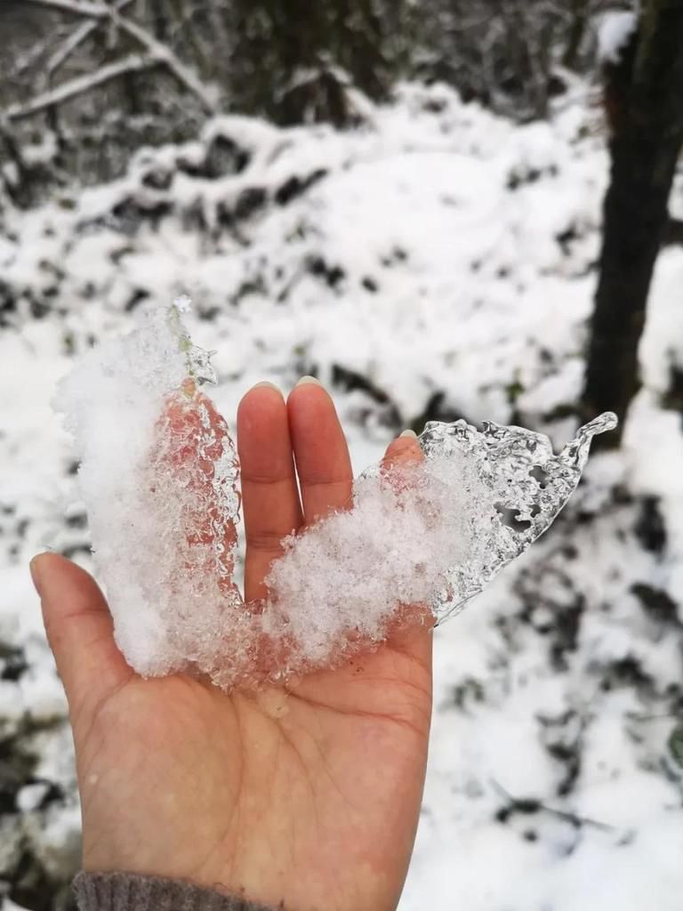 实拍！2021汶川第一场雪，来来来啦！