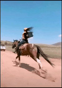 |搞笑GIF趣图妹子,这下亏大了,为了一个盆搭上一个人!