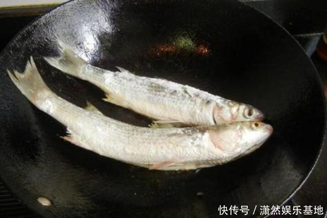 罗飞|珠江“白草鱼”泛滥,钓友爆护后担忧不已:会不会又是外来物种?