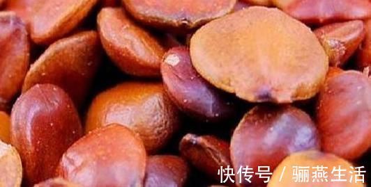 健身运动|经常失眠睡不好?1种小零食别放过,每天吃点,家人鼾声也难吵醒