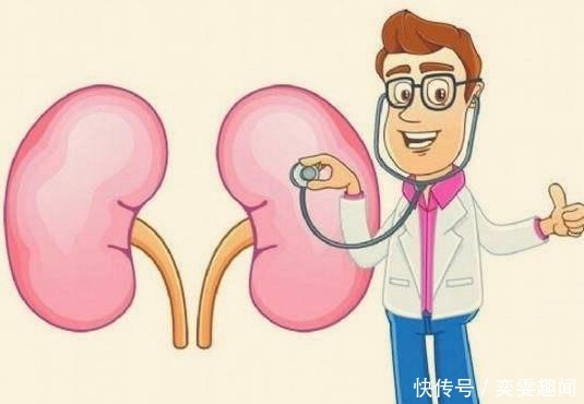 喝水越多,尿越多,肾脏的压力会变大吗?多喝水会伤到肾脏吗?