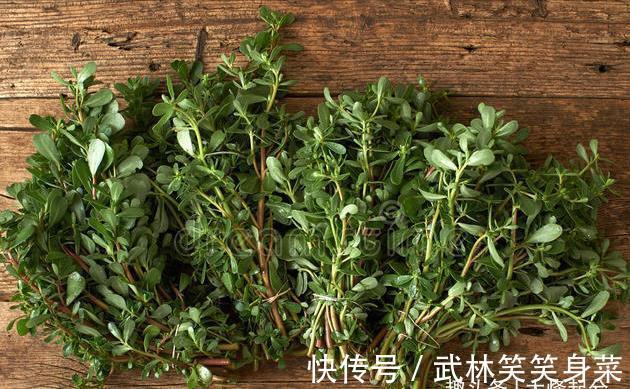 焯水|马齿苋，别再焯水排酸了，教你一招，鲜美好吃，不苦不涩不发酸