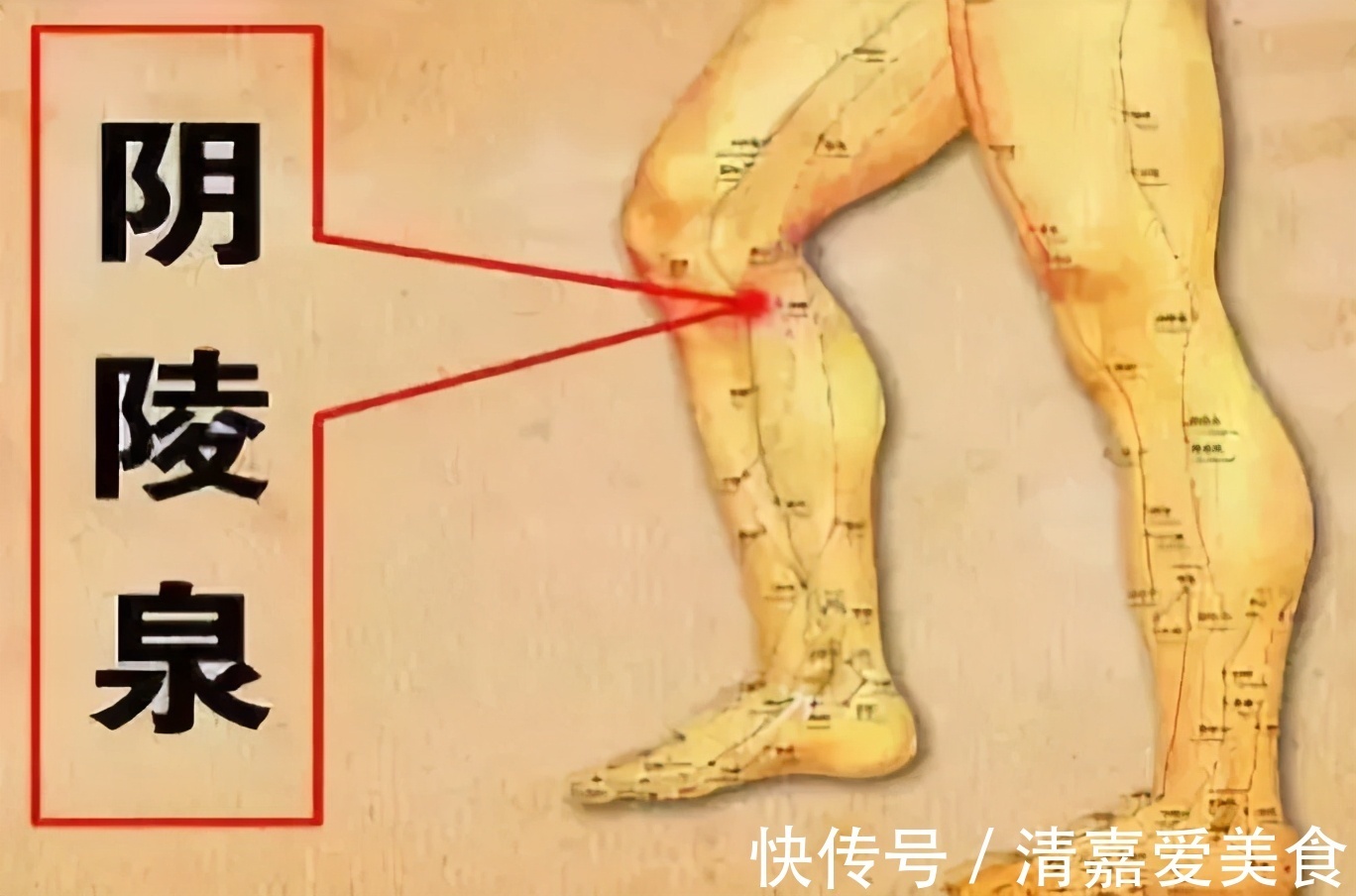 厉兑穴|比食疗效果大,比吃药更安全!人体的这22个超级穴位,可要记牢了
