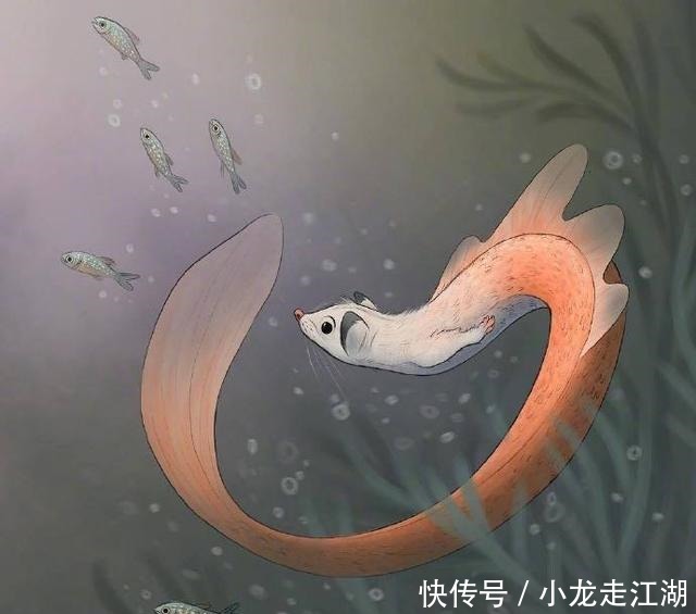作品|插画师Chelsea Trousdale作品欣赏