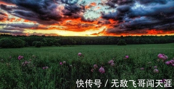 运势|下礼拜,好运降临,默默追求,主动出击,重燃爱火,互相欣赏