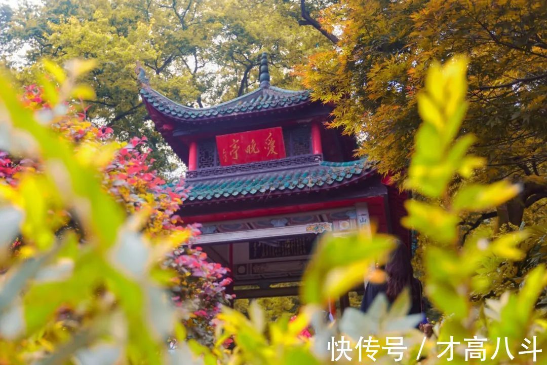 苏轼!因为一首诗,爱上一座城!