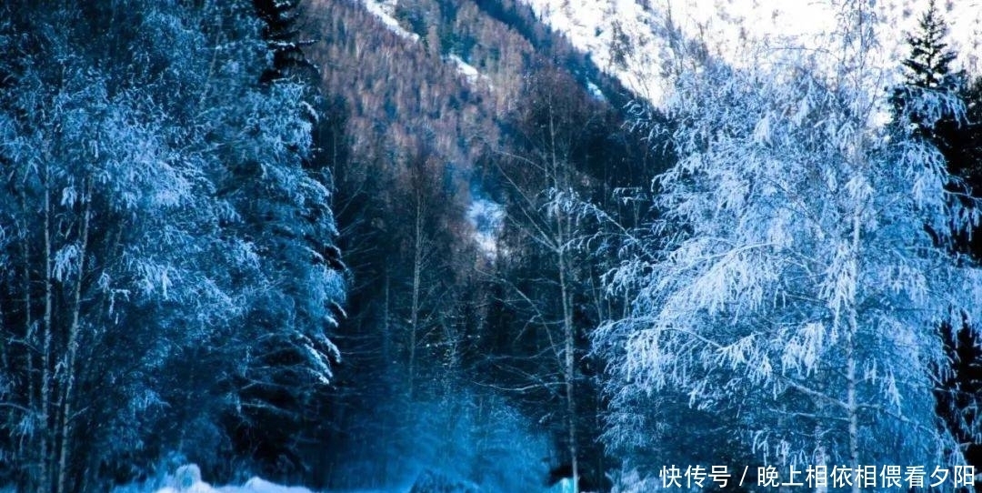 『打卡阿勒泰』这个冬天，一定来阿勒泰玩雪