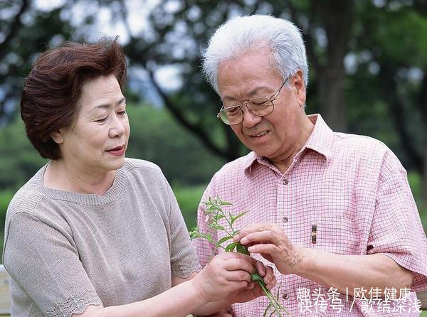  表现|四大表现预示老年痴呆50岁后想要不痴呆，牢牢记住这三个字