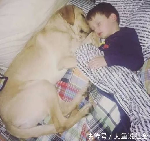 儿子|自闭儿子从不让人靠近,母亲送他条狗,画面让人感动