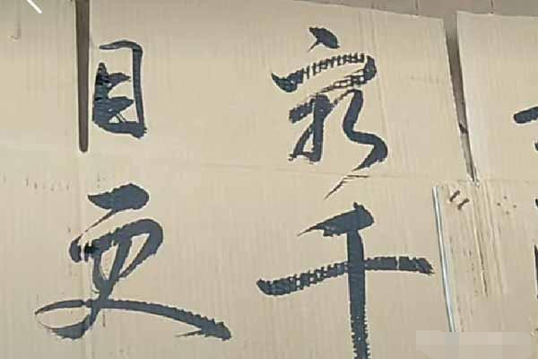 农村|农村小伙在废旧纸箱上练字,写出一手让人羡慕的字迹,用笔精到