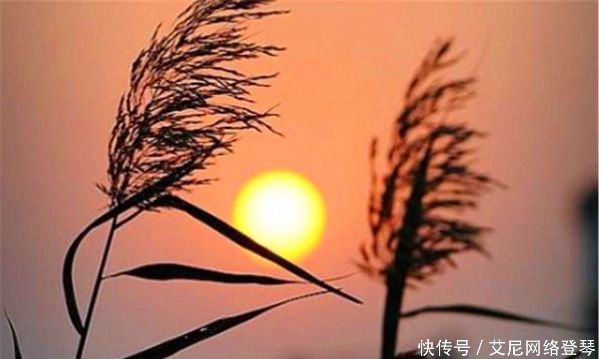 洒脱|苏轼最洒脱的一首词,寥寥数语,读来让人豪情万丈