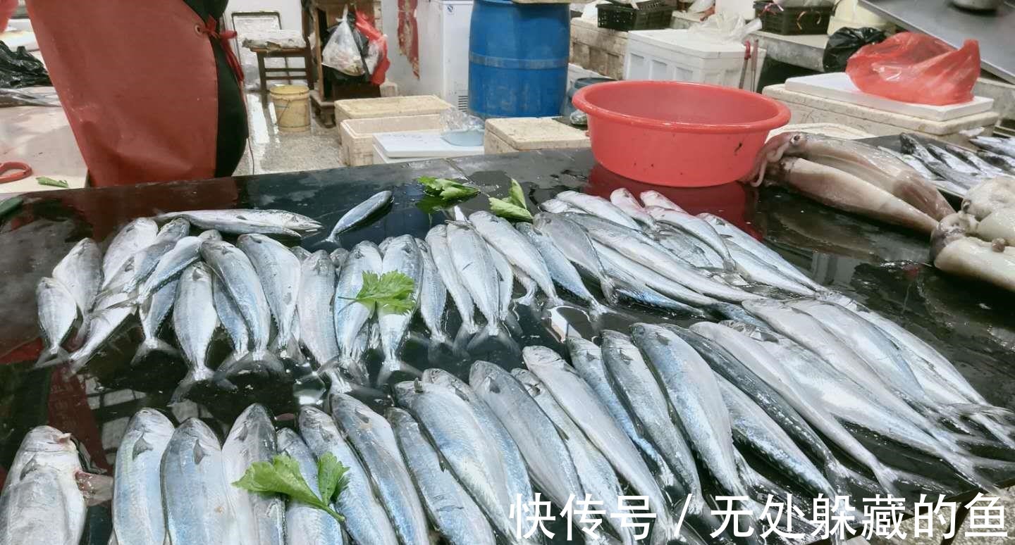 11月，遇到此5种鱼别手软！肉肥美，富含脑黄金，孩子老人要多吃！