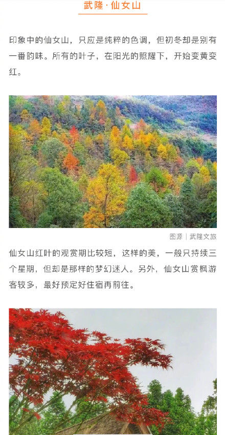 红叶|一睹山城的盛世美颜！最全重庆红叶地图请收好！