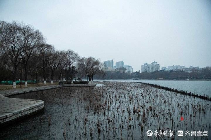 风光|冬日的温柔！大明湖清晨天水一色，风光旖旎如水墨画