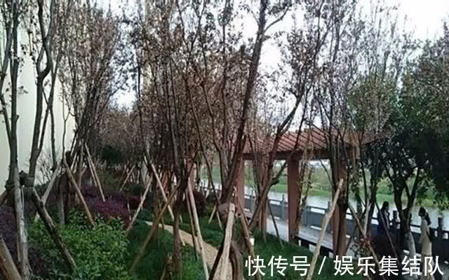 春去春$灵魂的积分