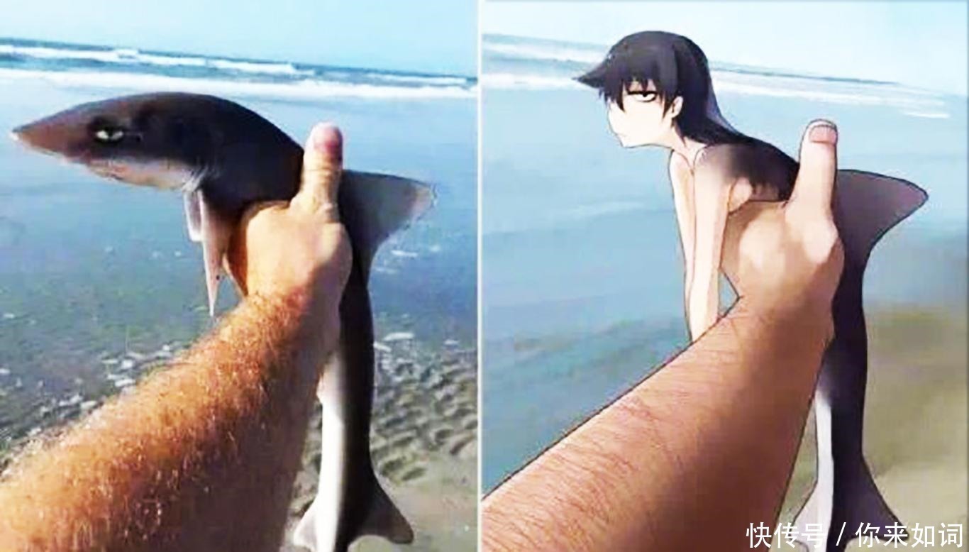 画师们|当动物被画师二次元化，可盐可甜可帅气，还是纸片人更让人心动