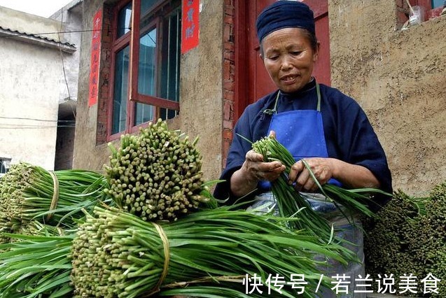 买韭菜,宽叶、窄叶要分清,二者差别大,牢记3不买,轻松买好菜