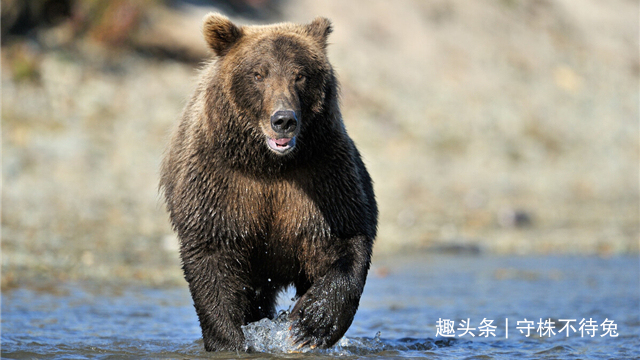 19个冷知识:鲜为人知,但却真实存在于世界的奇怪知识