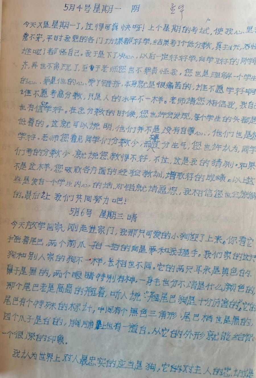 语言文字报！喜看新苗茁壮——小草文学社刊《海燕集》（一）序言