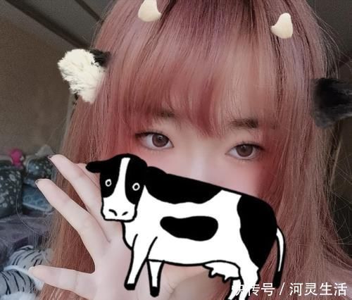 染发剂|在家染发也能轻松get明星同款,4款持久又温和的染发剂了解一下