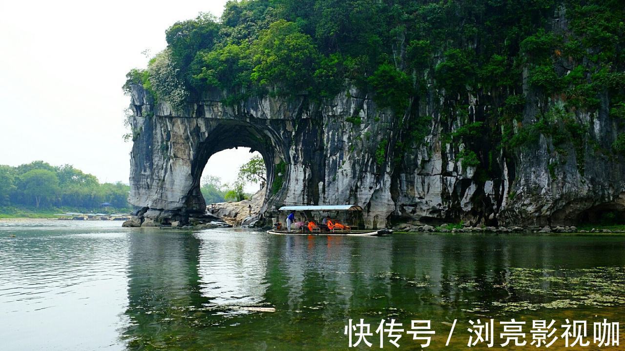 榕树|桂林一景点遭游客吐槽，大榕树围起来都要钱，里面还各种收费！