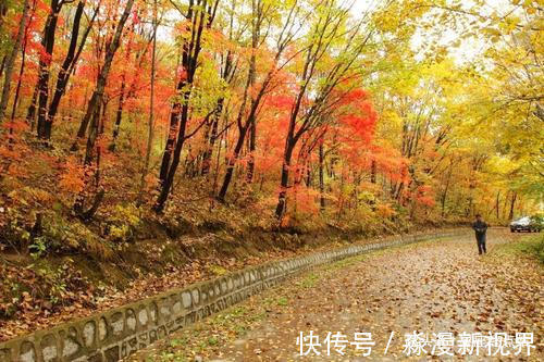 伟业|几月出生的孩子,聪明有才,长大后必定光宗耀祖,成就一番伟业