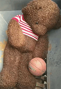 |搞笑GIF:养了这么只哈士奇,主人是崩溃的吧