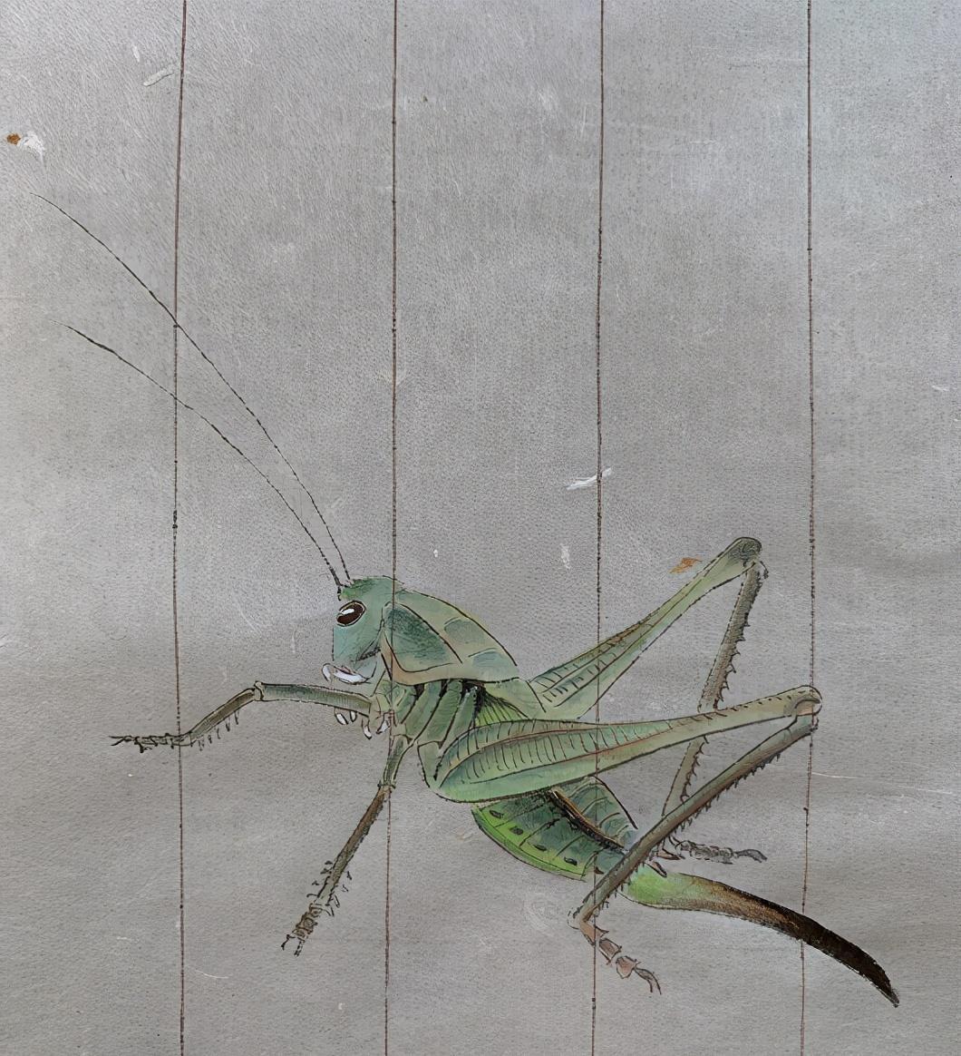 夏哈哈|夏雨:和女儿在家PK画蚂蚱,爷俩画工了得袁泉自动退出只好当裁判