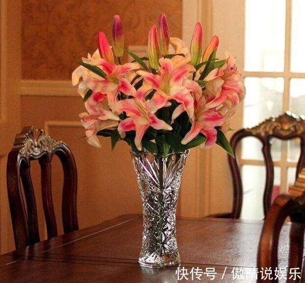 这几种盆栽会带来晦气，以后尽量不要养，后悔现在才知道！