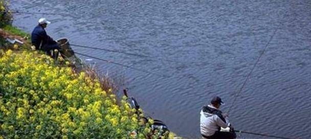 果酒|野钓打窝就用它，窝料入水就有鱼进窝，大鱼都排着队上钩