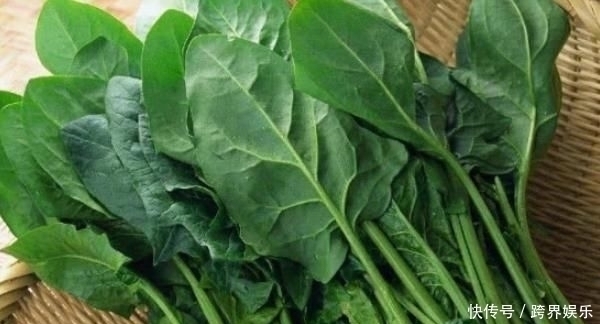 农民|农村这种野草,农民用它泡水喝,活血化瘀,老人腰也不痛了