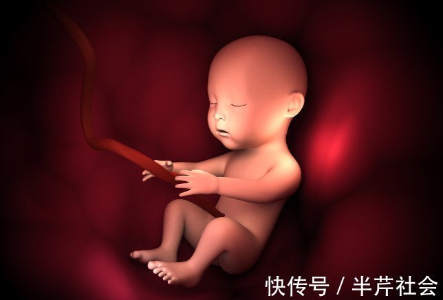 过少|胎动应该怎么数?正确的计算方法,你了解吗?