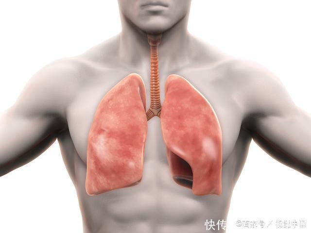 人被拿掉哪些器官却不会立马死有6个无用器官,医生一般不会说