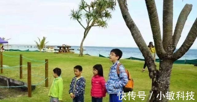 乐乐|6岁男孩不停打喷嚏,妈妈用手电筒一照,身上的汗毛都竖起来了