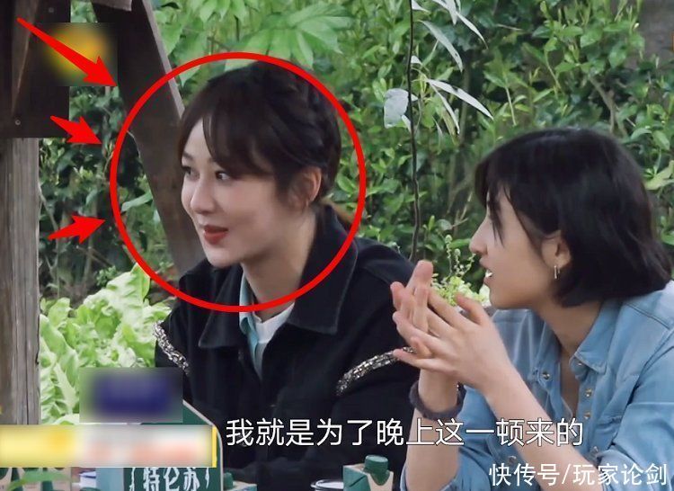 刘晓邑|杨紫直言是冲着晚饭来录节目的，听到黄磊的回应，整个人都不好了