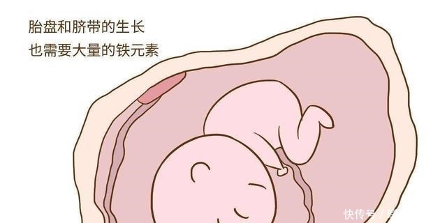 营养|孕妈怀孕期间应该补充哪些营养?第五点超重要却容易被人低估