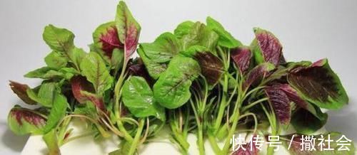 红苋菜|想长寿全靠吃,3种食物不能少,排毒降压,早吃早受益!